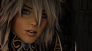gray haired female character, The Elder Scrolls V: Skyrim