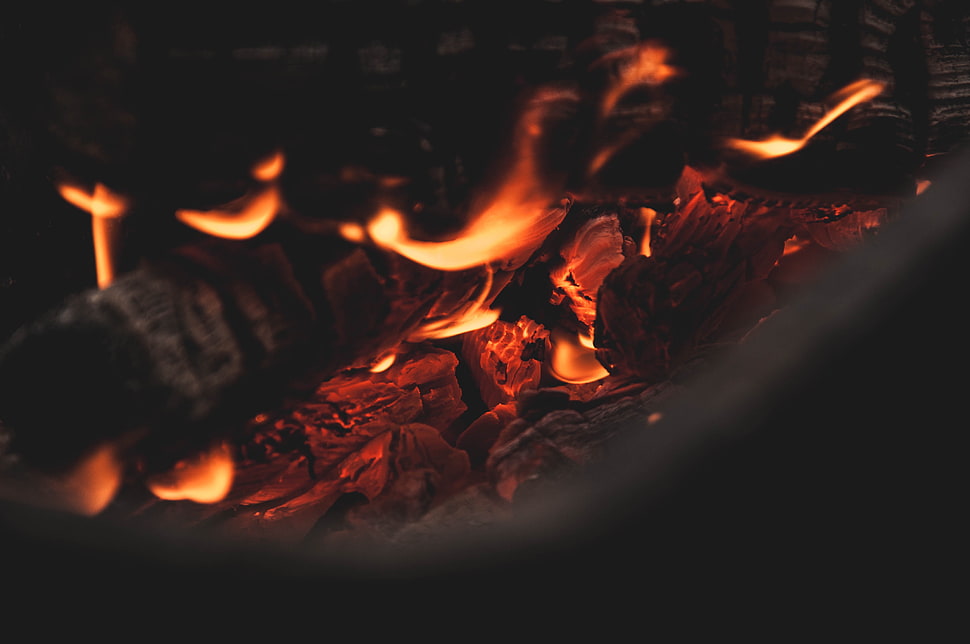 fire woods HD wallpaper