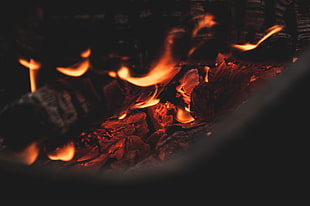 fire woods