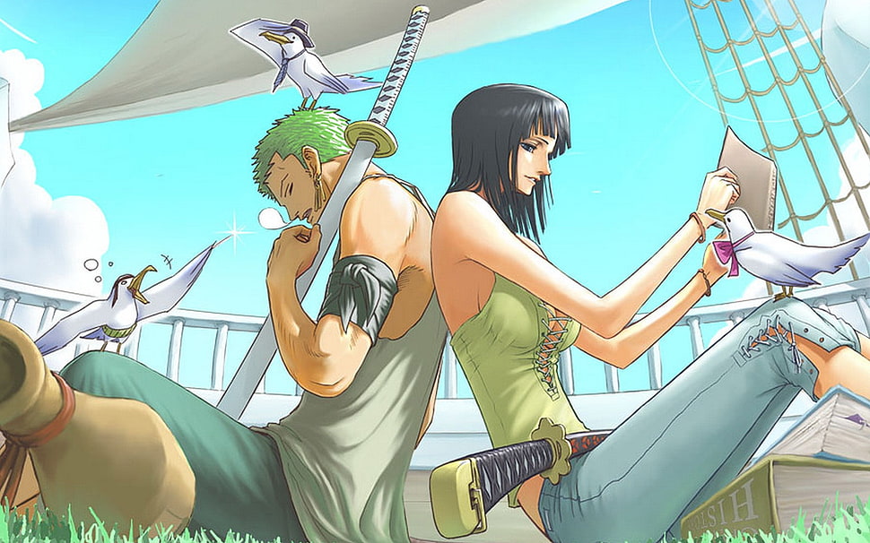 Zoro and Nico Robin illustration HD wallpaper