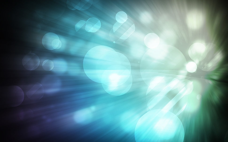 bokeh photography HD wallpaper