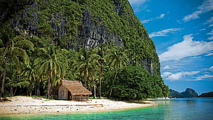 nippa hut under a rock mountain during daytime, beach, hut, tropical, nature HD wallpaper