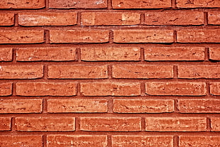 Banaue Rice Terraces, Wall, Brick, Surface