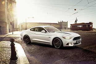 silver Ford Mustang GT HD wallpaper