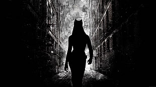 silhouette photo of woman walking, movies, The Dark Knight Rises, Catwoman, Anne Hathaway