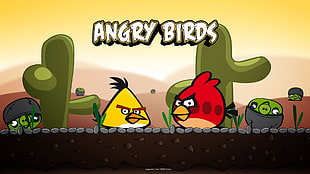 Angry Birds game digital wallpaper, Angry Birds HD wallpaper