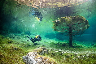pair of black flippers, water, underwater, lake, Green Lake HD wallpaper