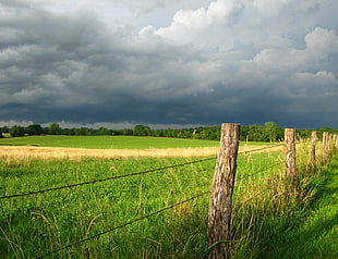 grass fields with fence, iowa HD wallpaper