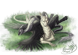 white and black dragon illustration, dragon