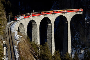 red and gray train on bridge