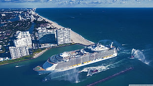 white cruise ship, cruise ship, cityscape, sea, ship HD wallpaper