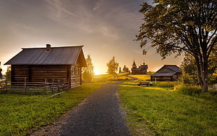 brown wooden barn house, natural light, landscape HD wallpaper
