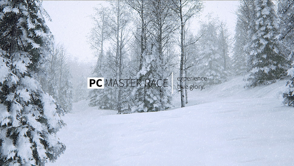 PC master race advertisement, memes HD wallpaper