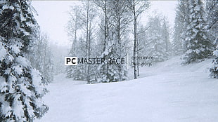 PC master race advertisement, memes HD wallpaper
