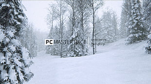 PC master race advertisement, memes