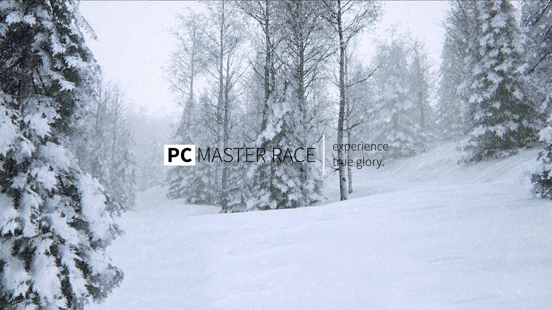 PC master race advertisement, memes