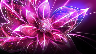 pink petaled flower digital wallpaper, flowers, digital art, lights