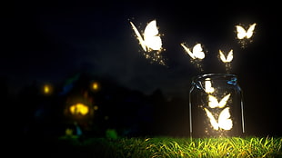 clear glass jar, butterfly, night, lights, fantasy art