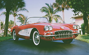 red and white coupe die-cast model, American cars, Chevrolet, 1961 Chevrolet Corvette, car