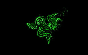 green and black dragon illustration, Razer