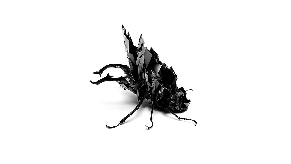 black june bettle, artwork, insect, white background, rock HD wallpaper