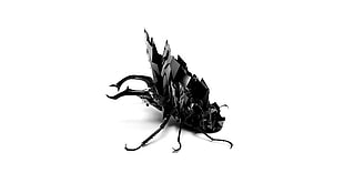 black june bettle, artwork, insect, white background, rock