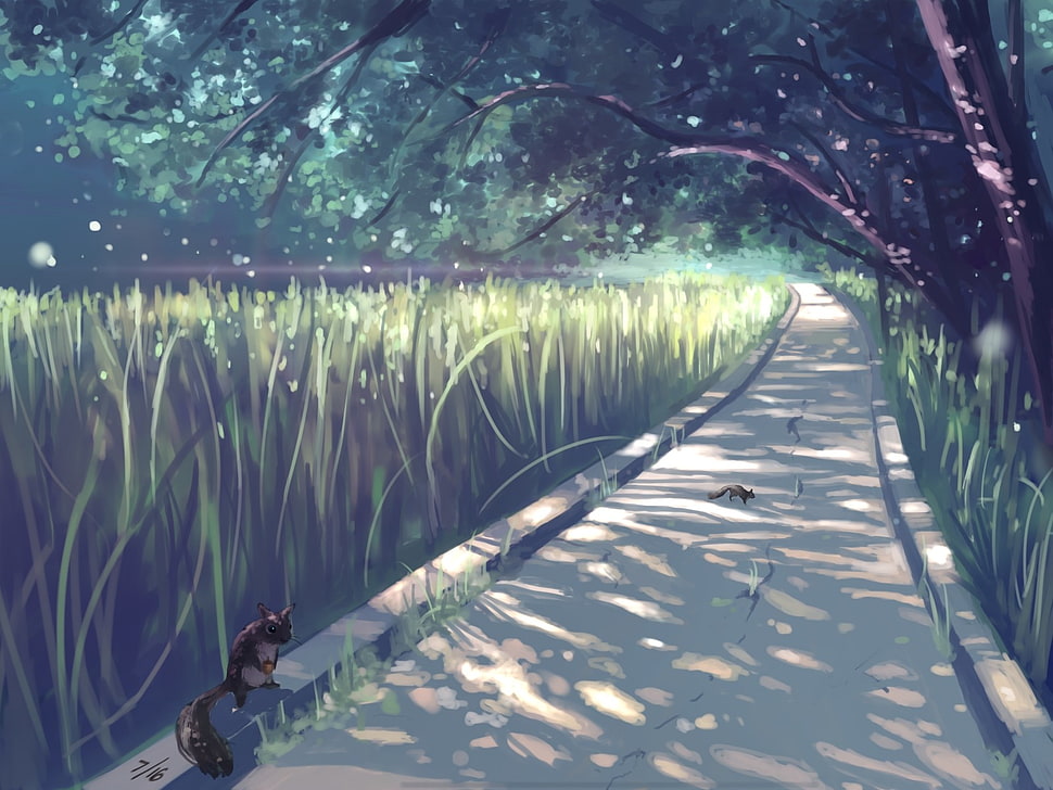 squirrel on road digital wallpaper, anime, squirrel HD wallpaper