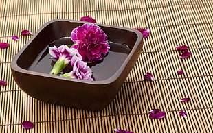 pink petaled flowers in brown wooden bowl