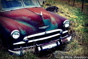 classic red car, car, wreck, vehicle