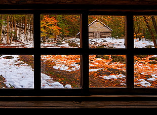 brown framed glass window