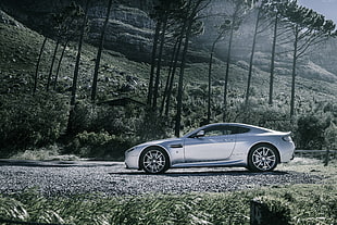 gray sports car on forest portrait HD wallpaper