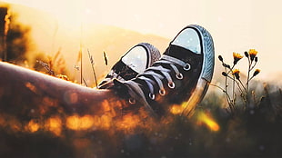 pair of black Converse All-Star low-tops, Converse HD wallpaper