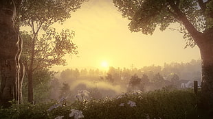 green leafed trees, Everybody's Gone to the Rapture, in-game, landscape, sunset