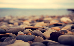 selective photo of pile of stone HD wallpaper