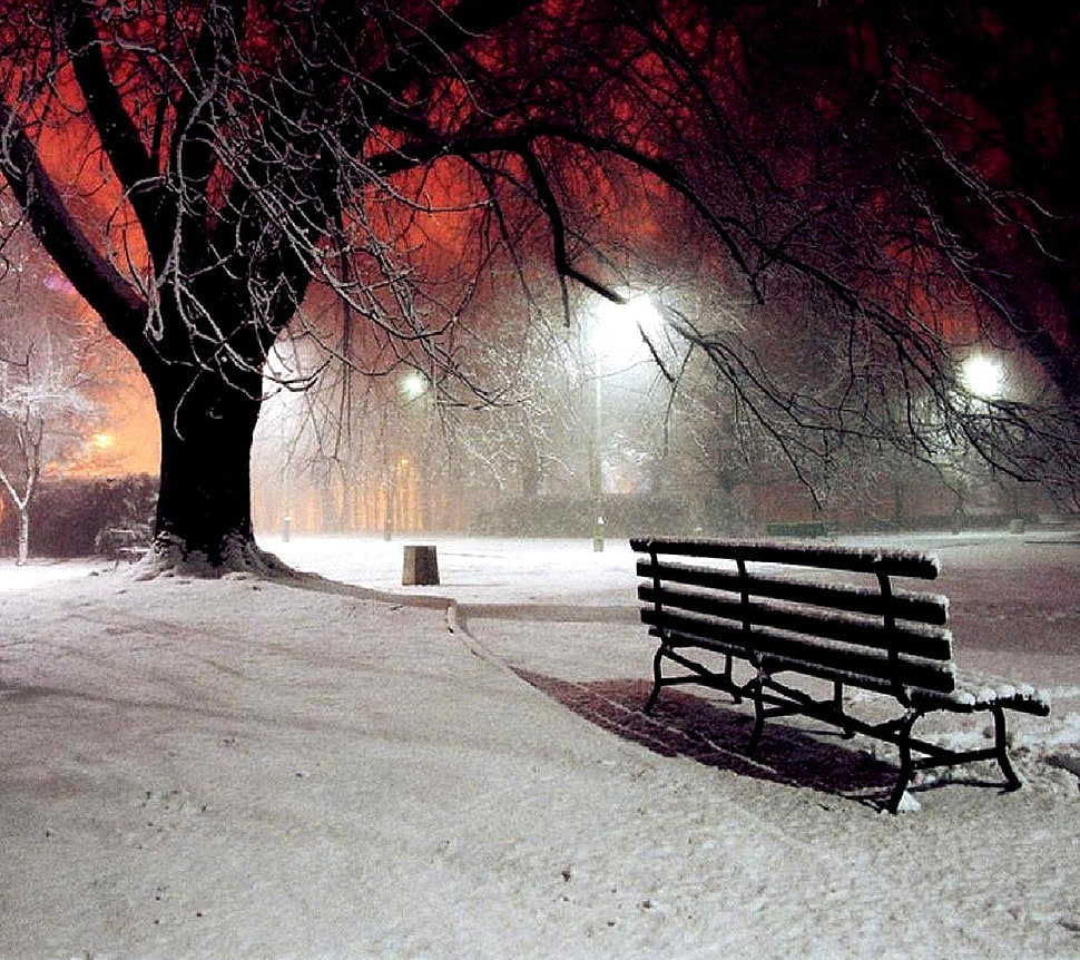 black garden bench, nature, winter, park HD wallpaper