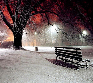 black garden bench, nature, winter, park