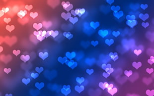 heart print digital wallpaper, heart, colorful HD wallpaper