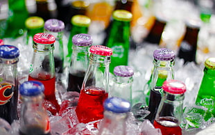 clear glass bottle lot, beer, bottles, alcohol, ice HD wallpaper