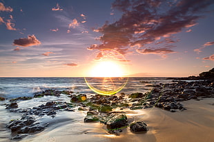 landscape photography of golden hour on rocky beach HD wallpaper