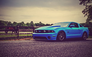 blue Ford Mustang, Ford Mustang, blue cars, car