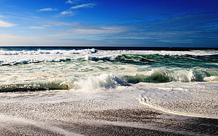 sea waves during daytime