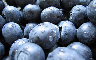 bunch of Blueberries