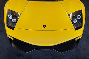 yellow Lamborghini hood HD wallpaper