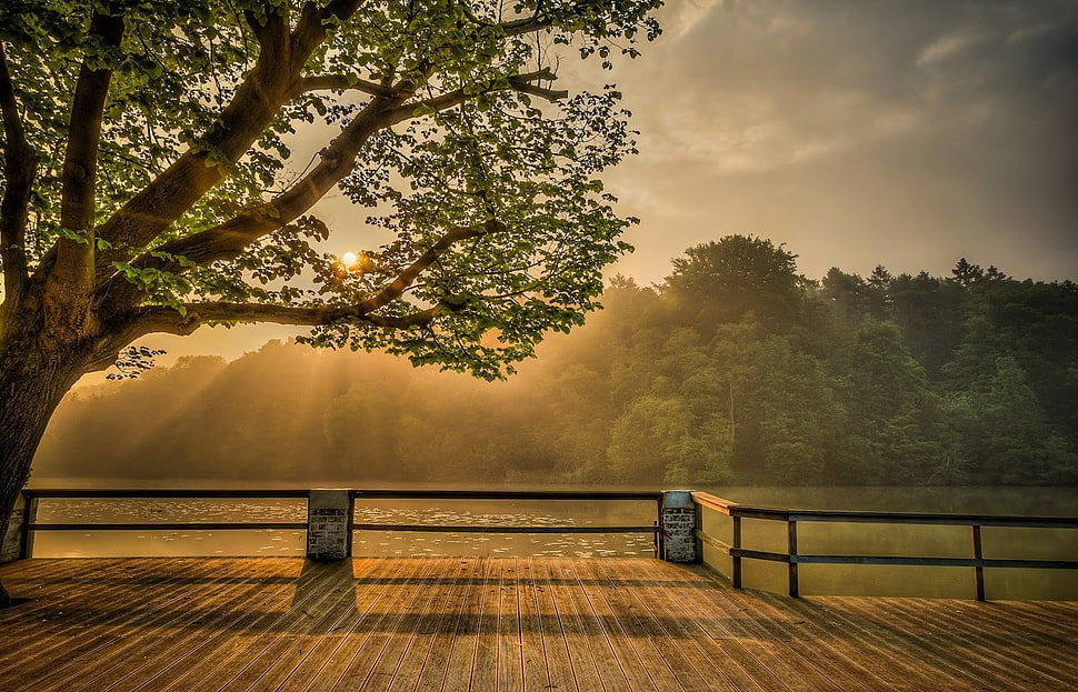 viewing dock near water, mist, trees, hills, river HD wallpaper