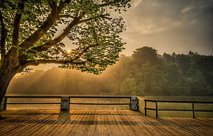 viewing dock near water, mist, trees, hills, river