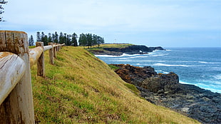 brown wooden fence, Kiama, Australia, coast, landscape