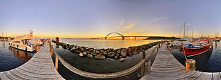 panoramic photography of wood dock during golden hour, landscape, fisheye lens, rock, beach