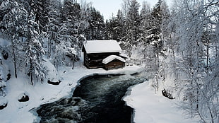 brown hut, nature, snow, ice, river HD wallpaper
