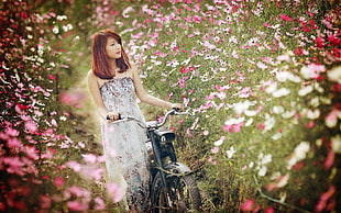 pink petaled flower field, nature, Asian, motors, flowers