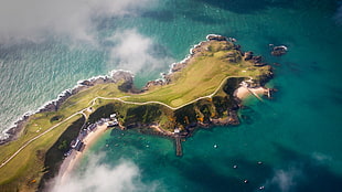 aerial view photography of mountain cliff, sea, coast, nature, aerial view